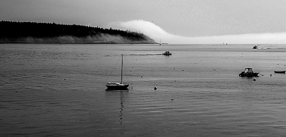 _DSC1696