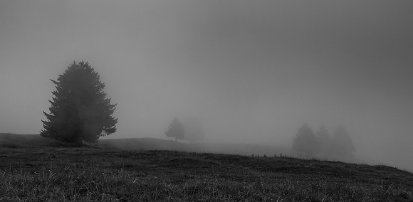RAGlick_120816_7051