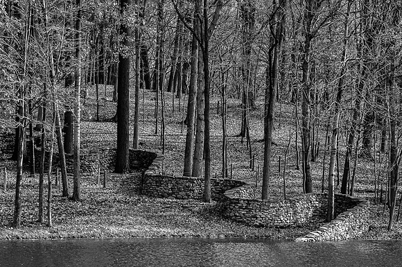 _DSC5157